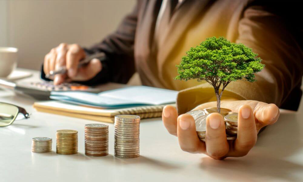 Céges növekedés a Maximum Business segítségével