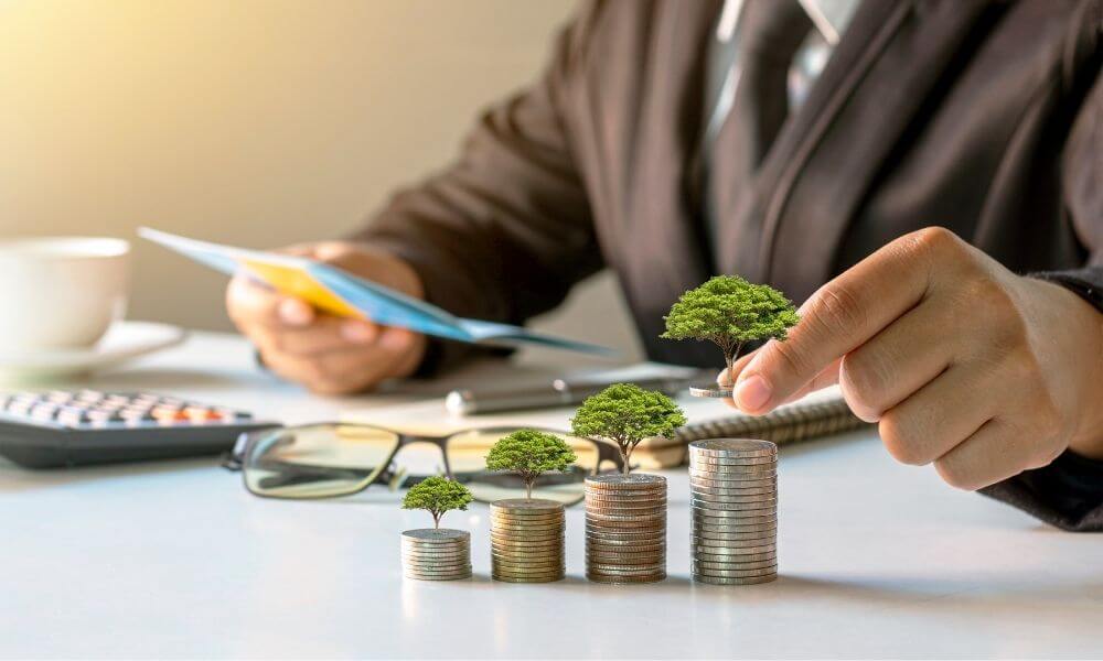 vállalkozói befektetési piramis folyamatos növekedés